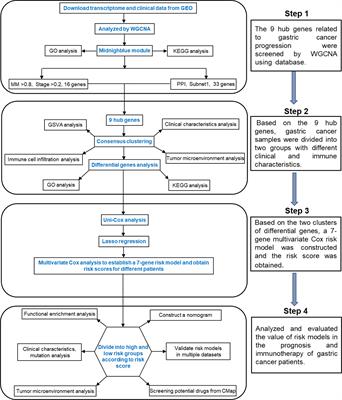 A Tumor Progression Related 7-Gene Signature Indicates Prognosis and Tumor Immune Characteristics of Gastric Cancer